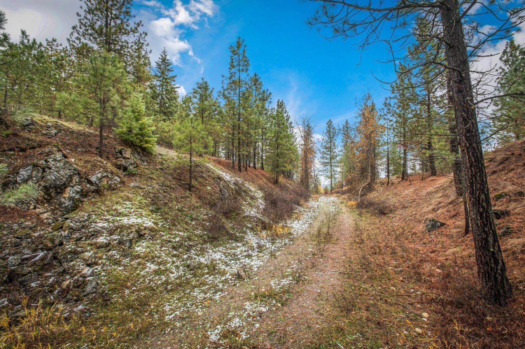 4425 Stonebrook Way Springdale, WA 99173 - Photo 4 of 18