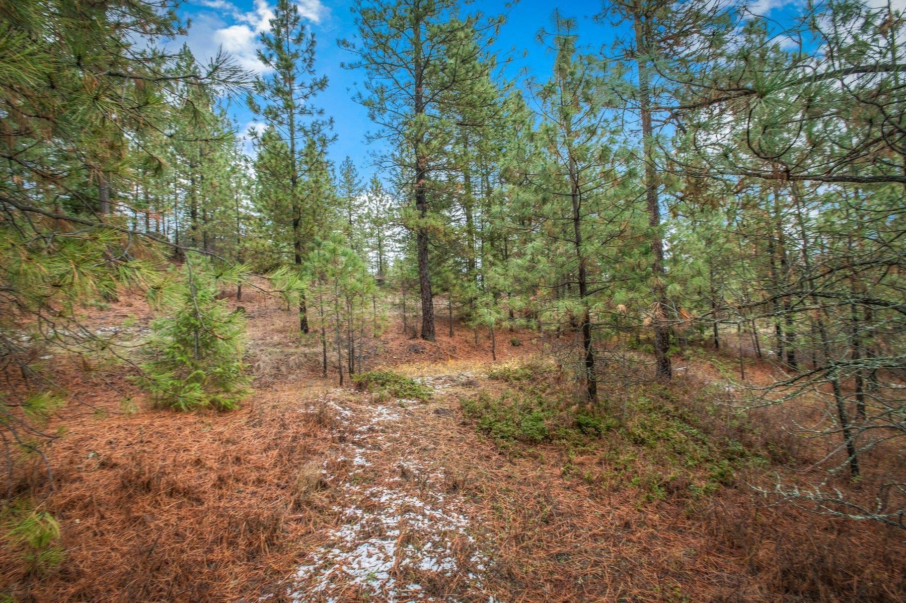 4425 Stonebrook Way Springdale, WA 99173 - Photo 6 of 18