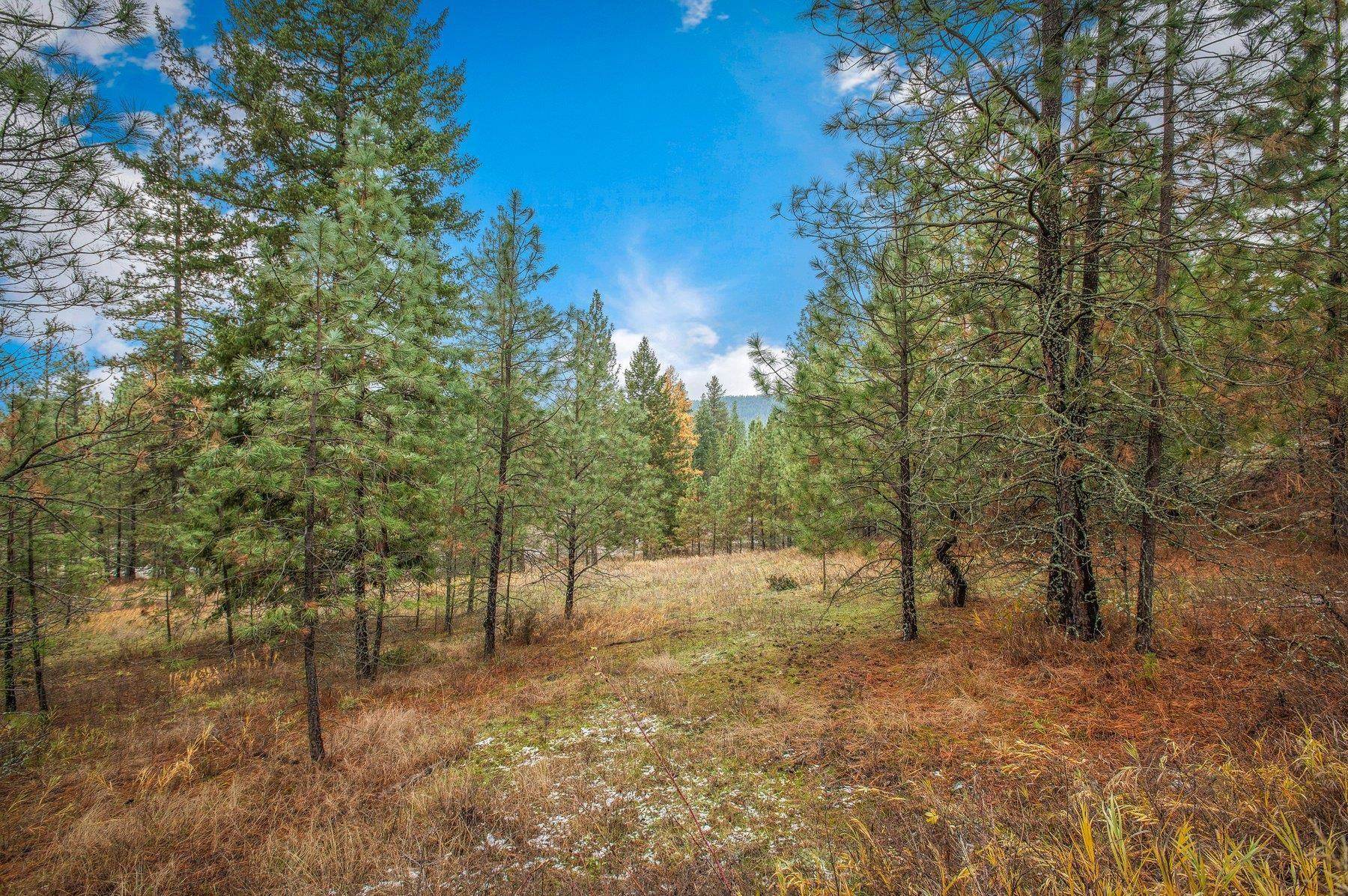 4425 Stonebrook Way Springdale, WA 99173 - Photo 7 of 18