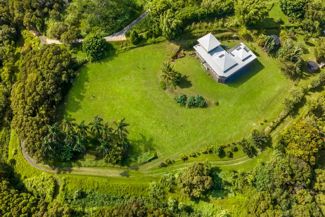 a view of a yard with plants