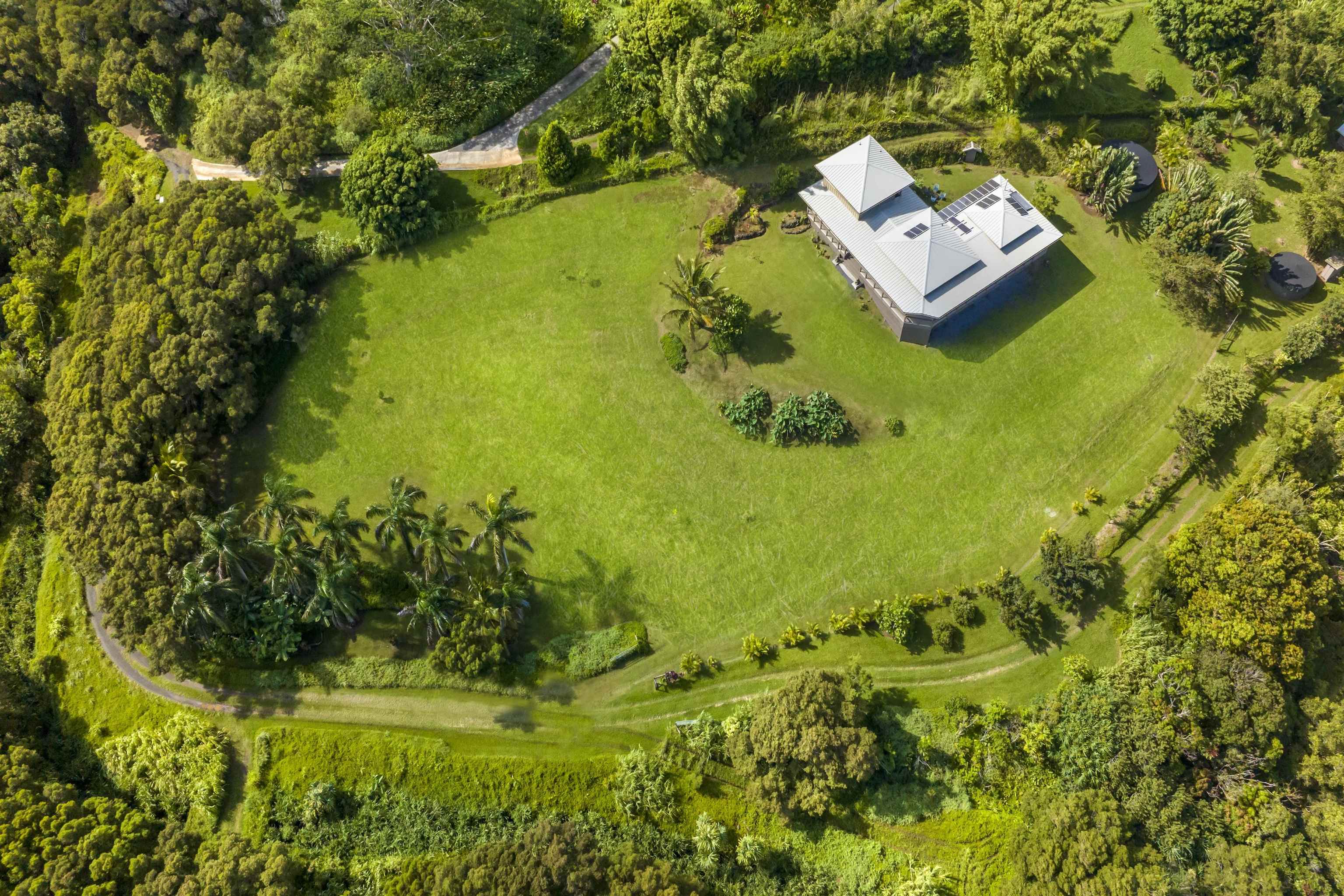 41 Leleaka Place, Unit A Haiku, HI 96708 - Photo 5 of 40 a view of a yard with plants