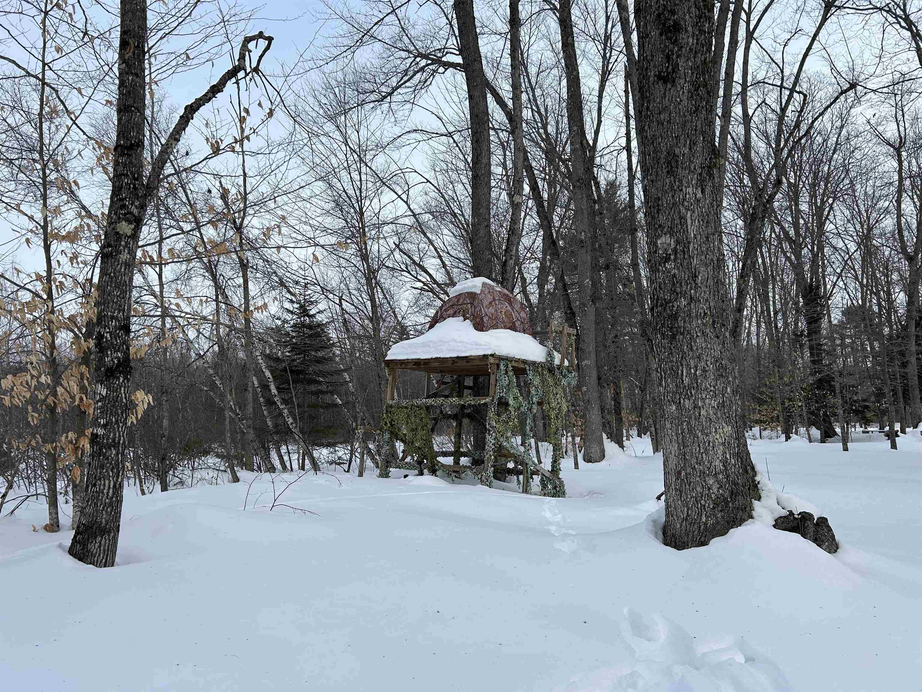 Lot 6 Old River Road Fryeburg, ME 04037 - Photo 17 of 26