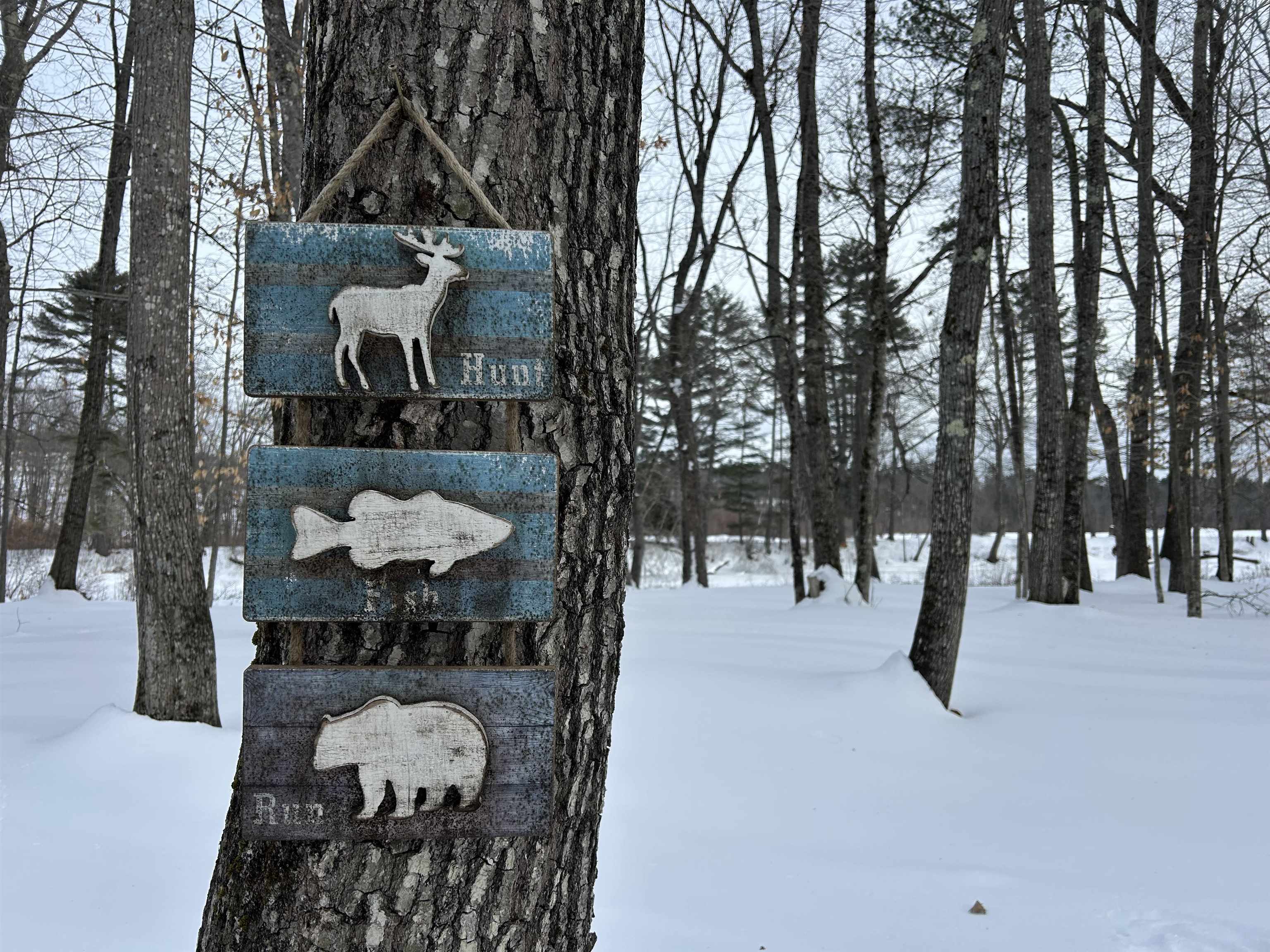 Lot 6 Old River Road Fryeburg, ME 04037 - Photo 24 of 26