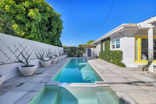 a view of a backyard that has plants and trees