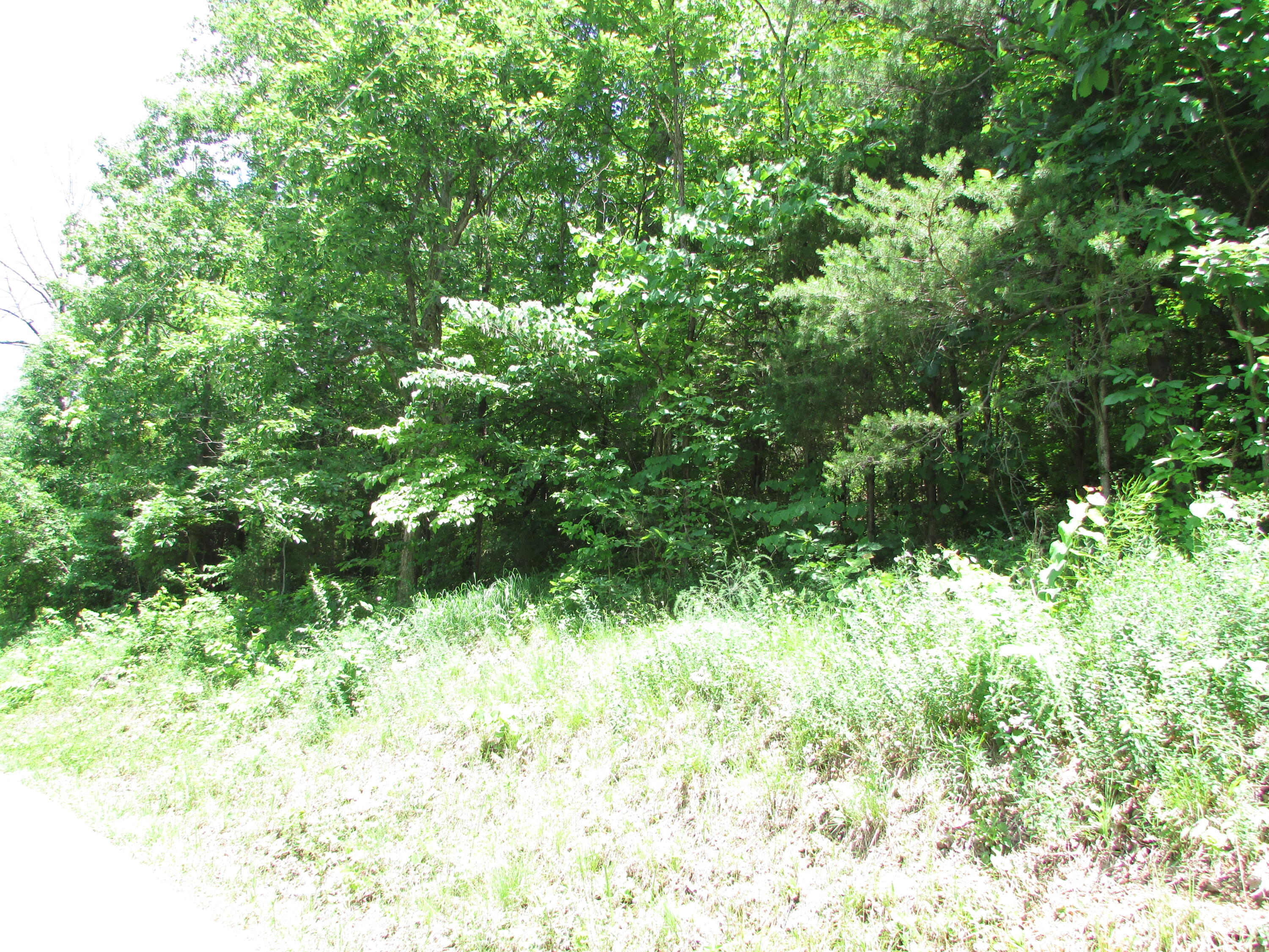 Tbd Hilltop Road Johnson City, TN 37601 - Photo 13 of 15 IMG_4423