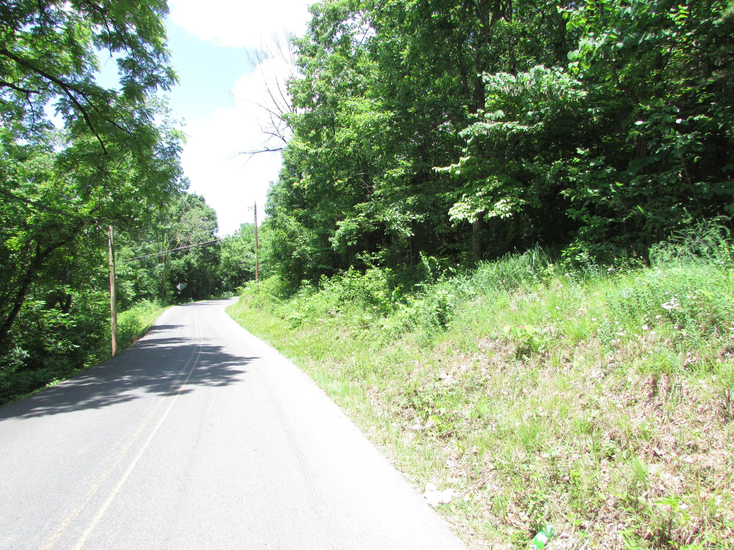 Tbd Hilltop Road Johnson City, TN 37601 - Photo 14 of 15 IMG_4424