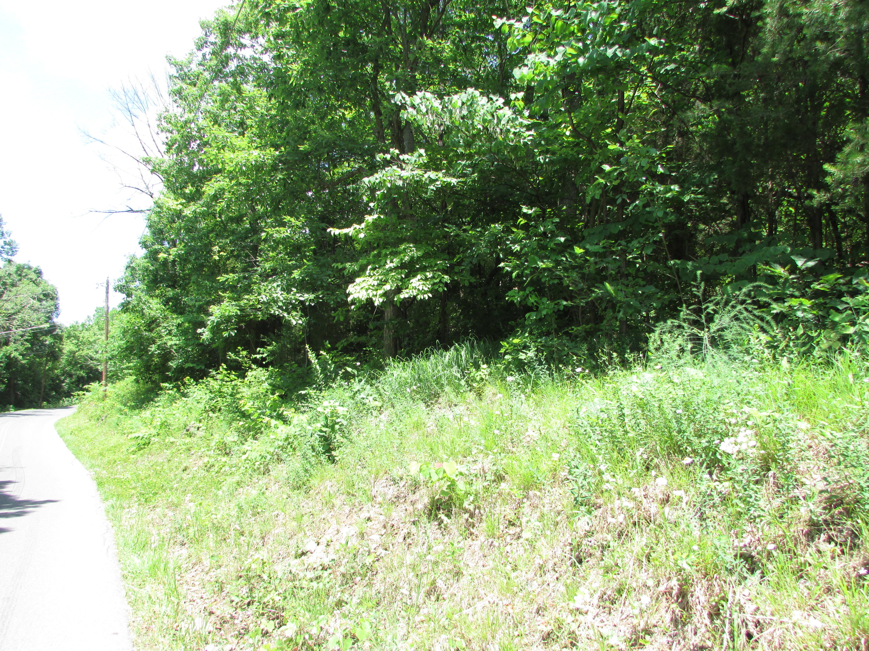 Tbd Hilltop Road Johnson City, TN 37601 - Photo 15 of 15 IMG_4425