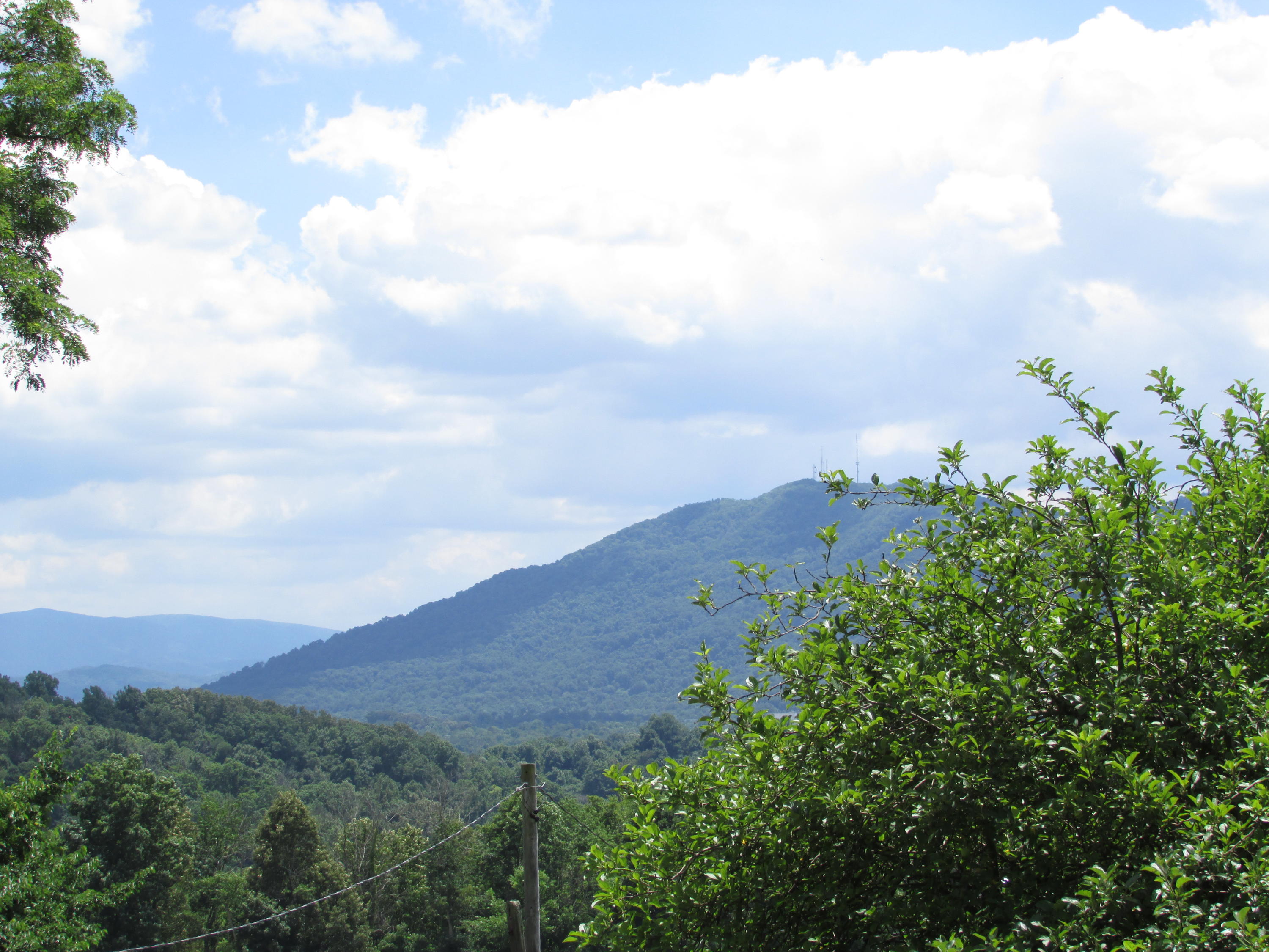 Tbd Hilltop Road Johnson City, TN 37601 - Photo 2 of 15 IMG_4422