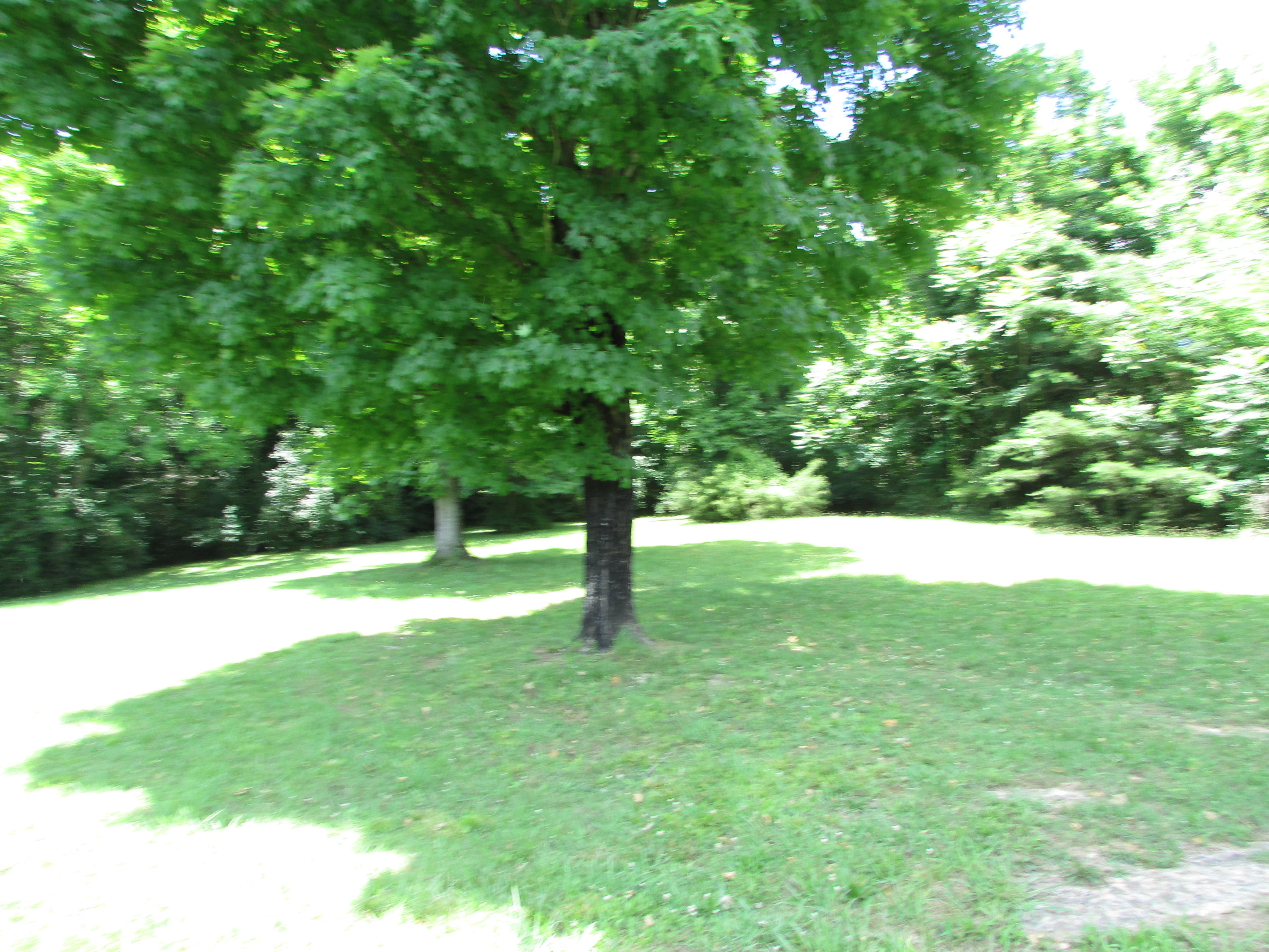 Tbd Hilltop Road Johnson City, TN 37601 - Photo 3 of 15 IMG_4414