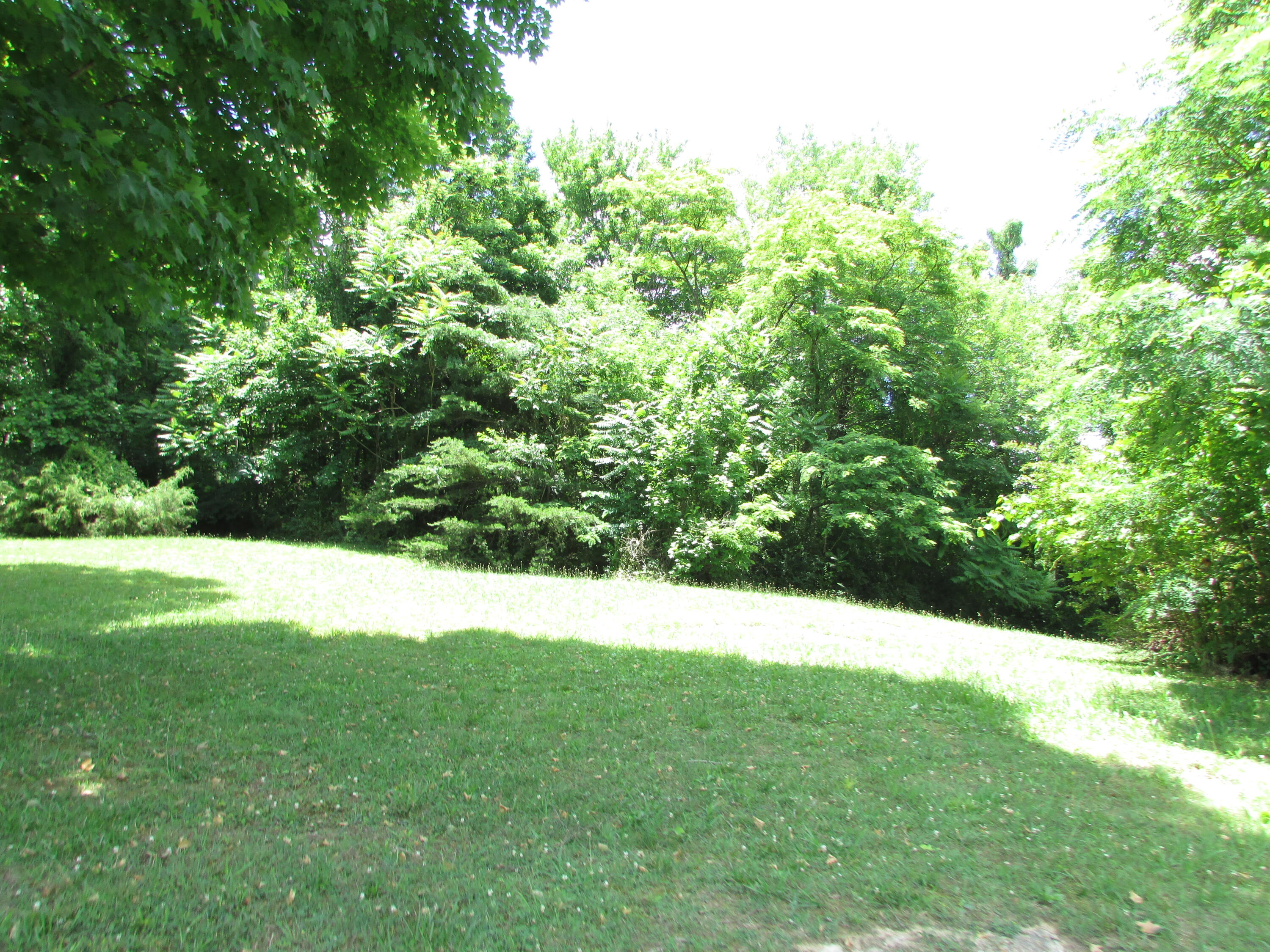 Tbd Hilltop Road Johnson City, TN 37601 - Photo 5 of 15 IMG_4415