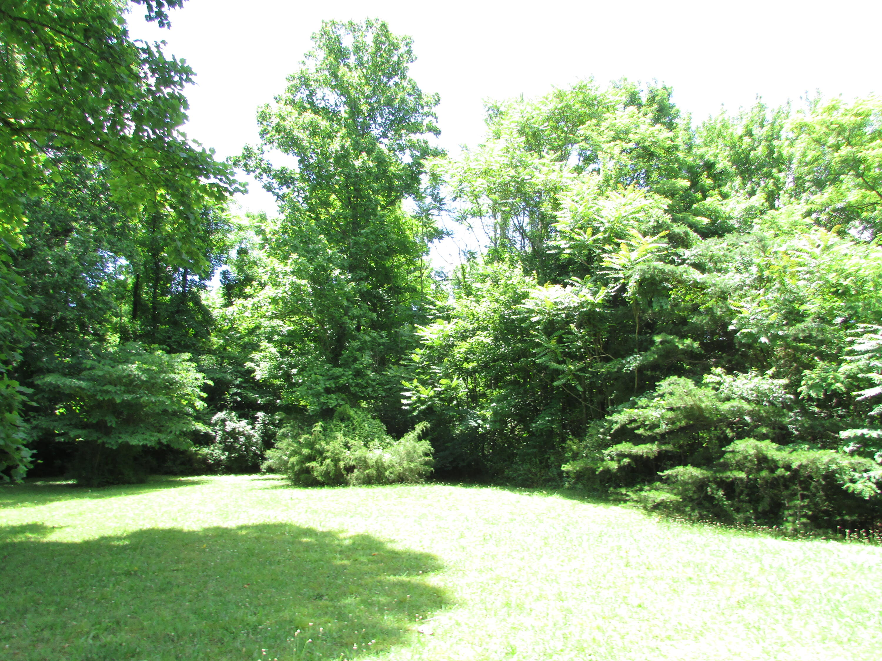 Tbd Hilltop Road Johnson City, TN 37601 - Photo 7 of 15 IMG_4416