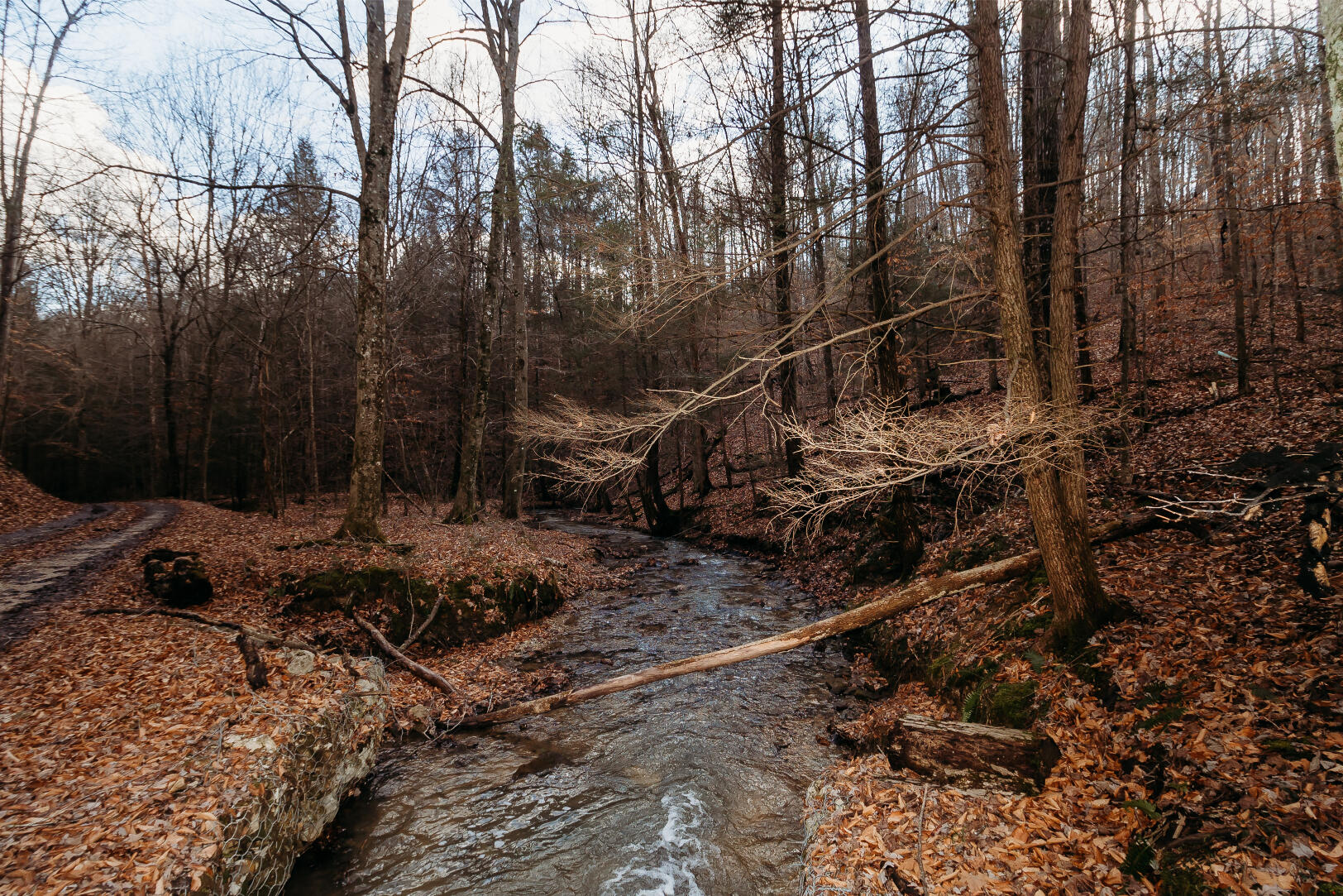 9999-tbd Ratliff Road Frenchburg, KY 40322 - Photo 7 of 19 krp-6