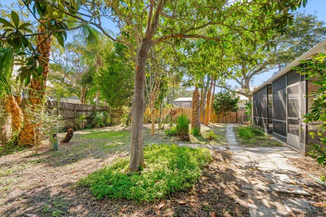 a view of a backyard with large trees
