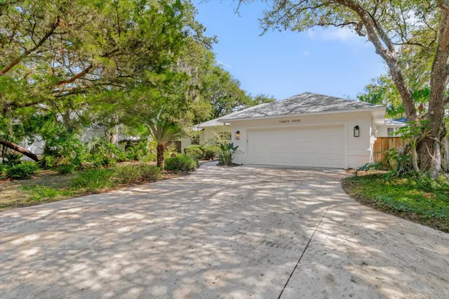 a view of a yard with plants and trees
