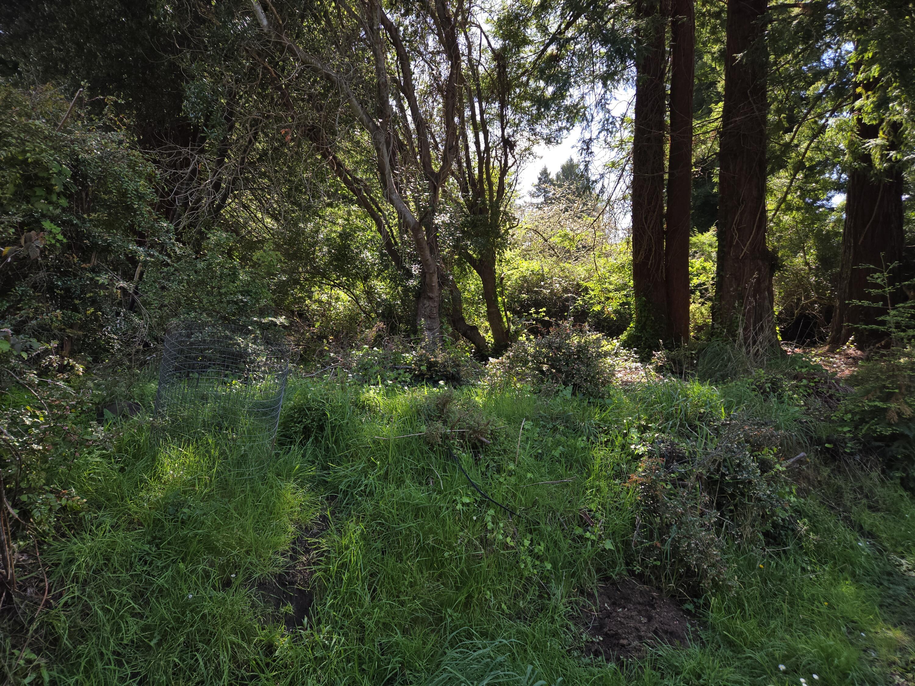 4581 Campton Road Eureka, CA 95503 - Photo 7 of 7