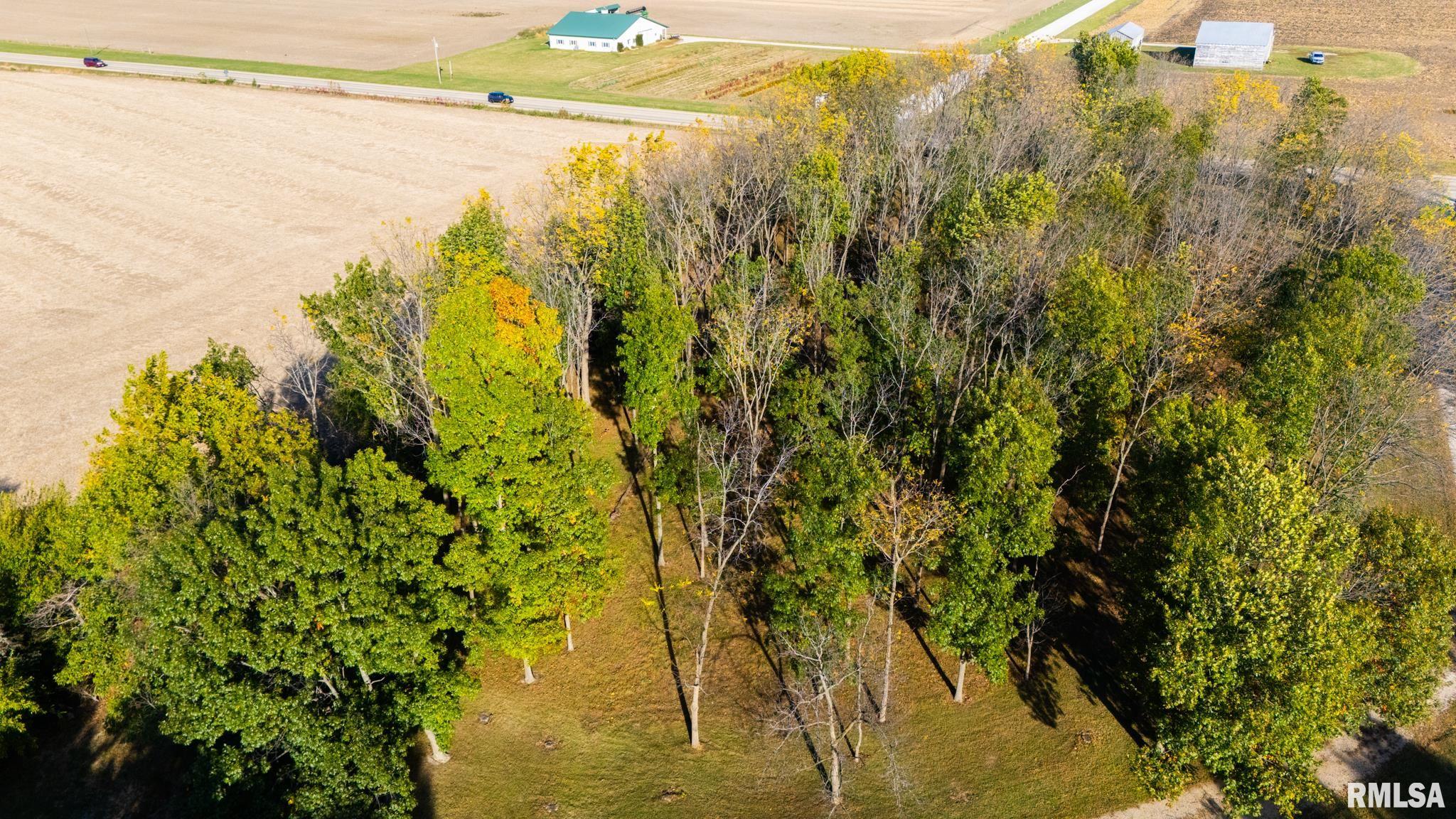 11417 North Route 91 Dunlap, IL 61525 - Photo 13 of 85