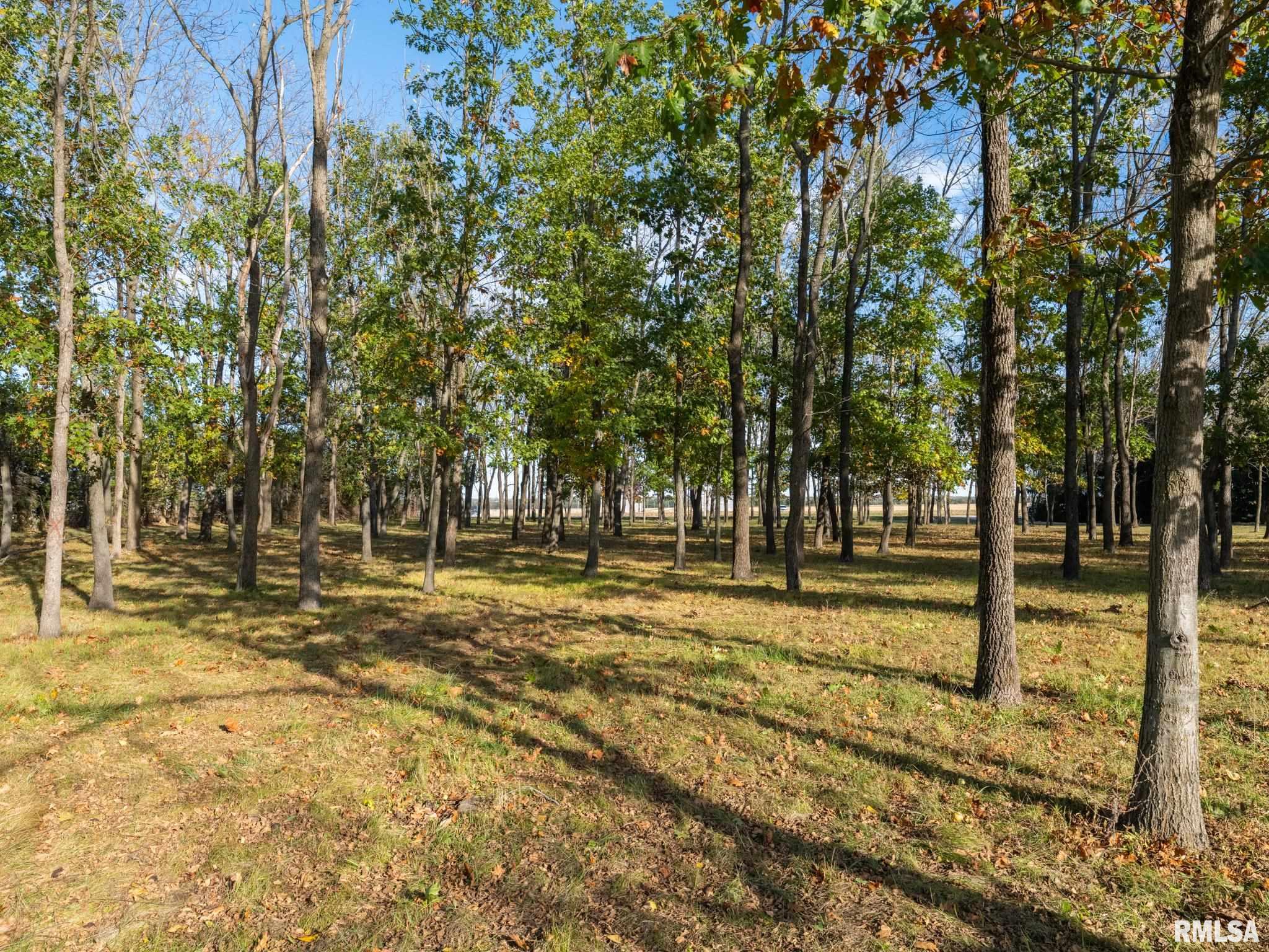 11417 North Route 91 Dunlap, IL 61525 - Photo 19 of 85