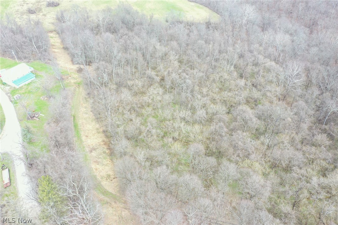 56835 Stephens Road Jacobsburg, OH 43933 - Photo 25 of 50