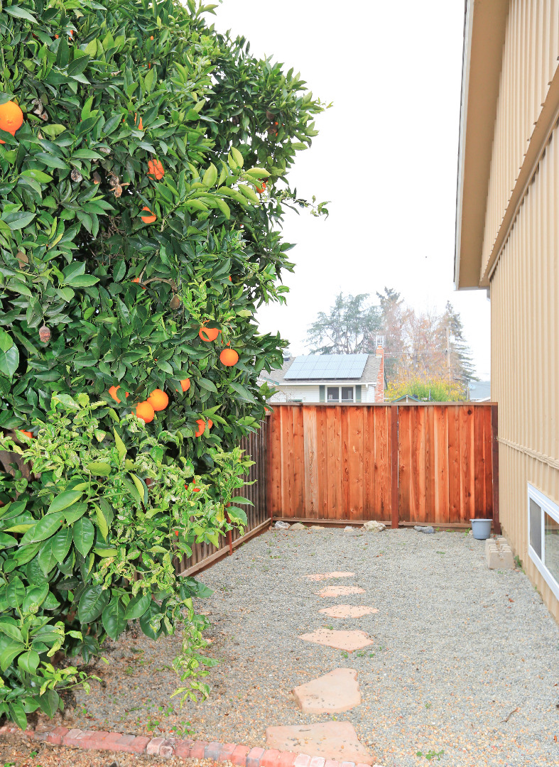 3926 Bucknall Road Campbell, CA 95008 - Photo 23 of 25 Gallery Image 23