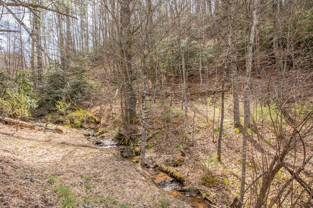 12-acres Powerhouse Road, Unit 14D Independence, VA 24348 - Photo 31 of 44 Gallery Image 31
