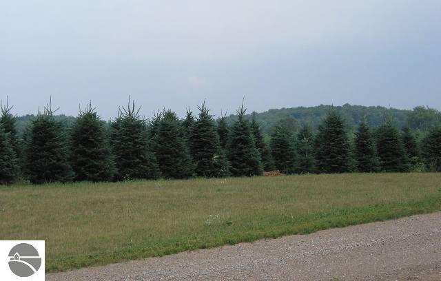 5719 Schneider Road Kingsley, MI 49649 - Photo 6 of 9 1651521-5.JPG