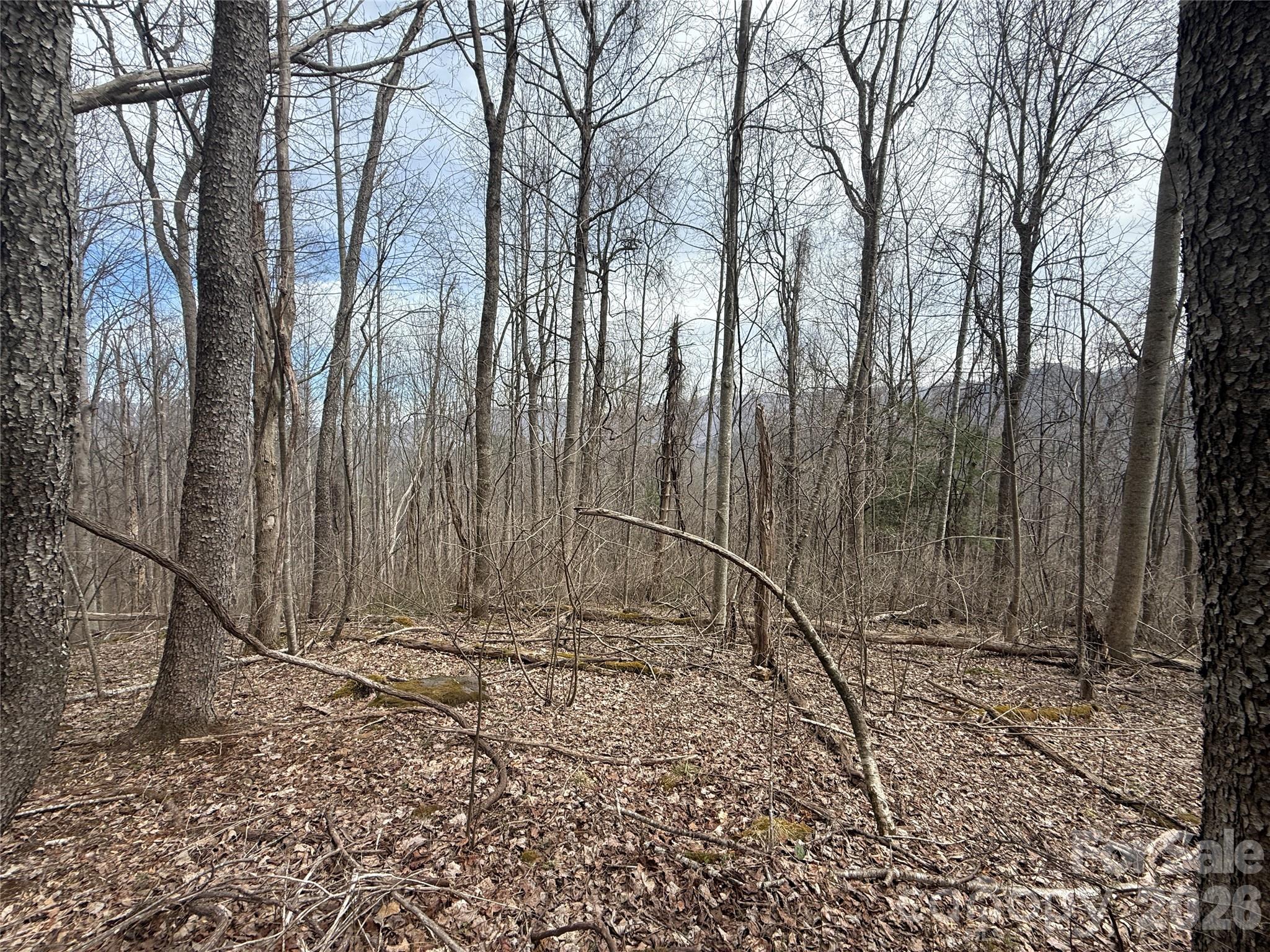 0 Caldwell Mountain Road Hot Springs, NC 28743 - Photo 6 of 33 a view of wooden fence