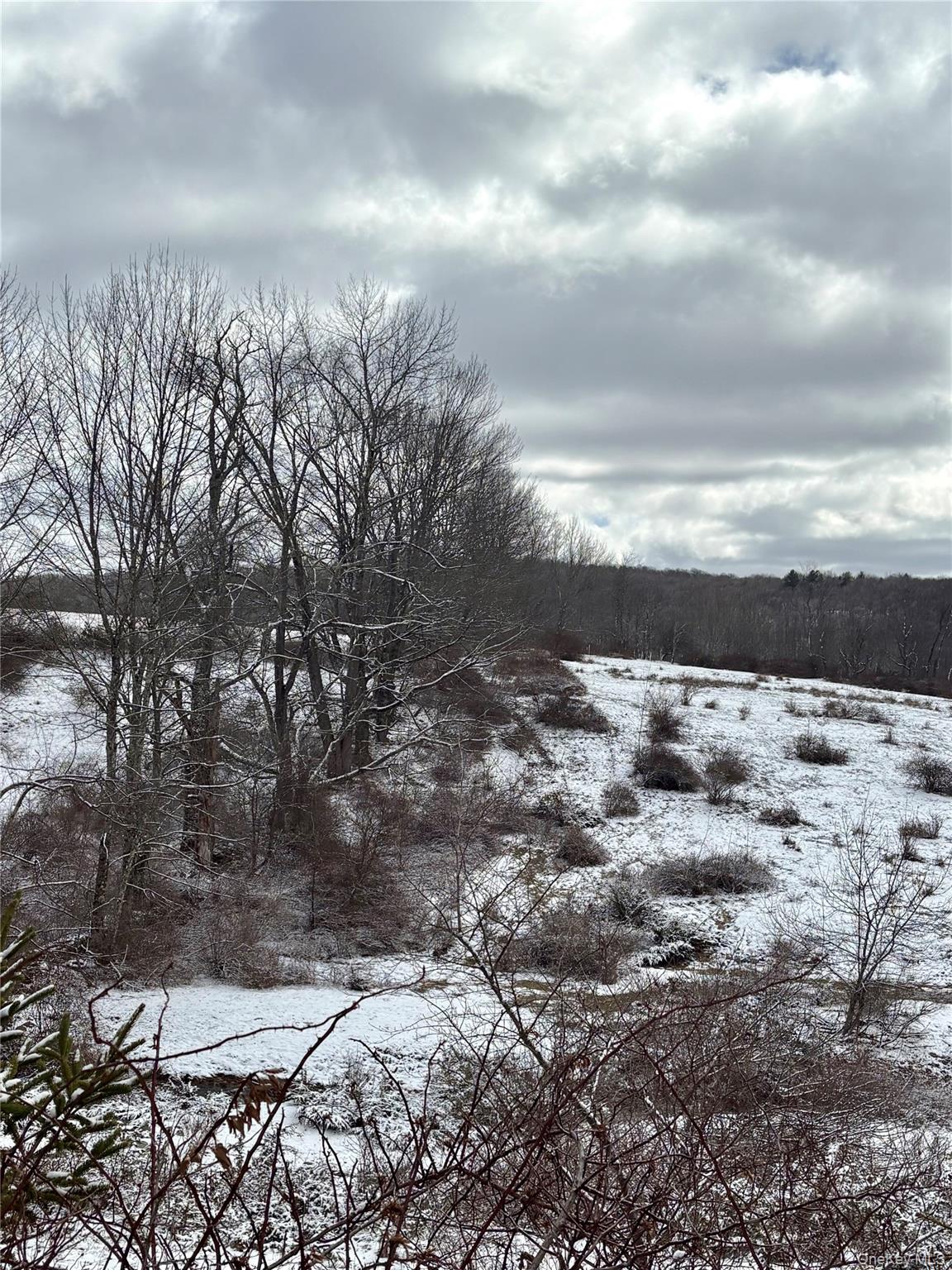 14 Frelich Rd/t R 28 Fremont Center, NY 12736 - Photo 17 of 47