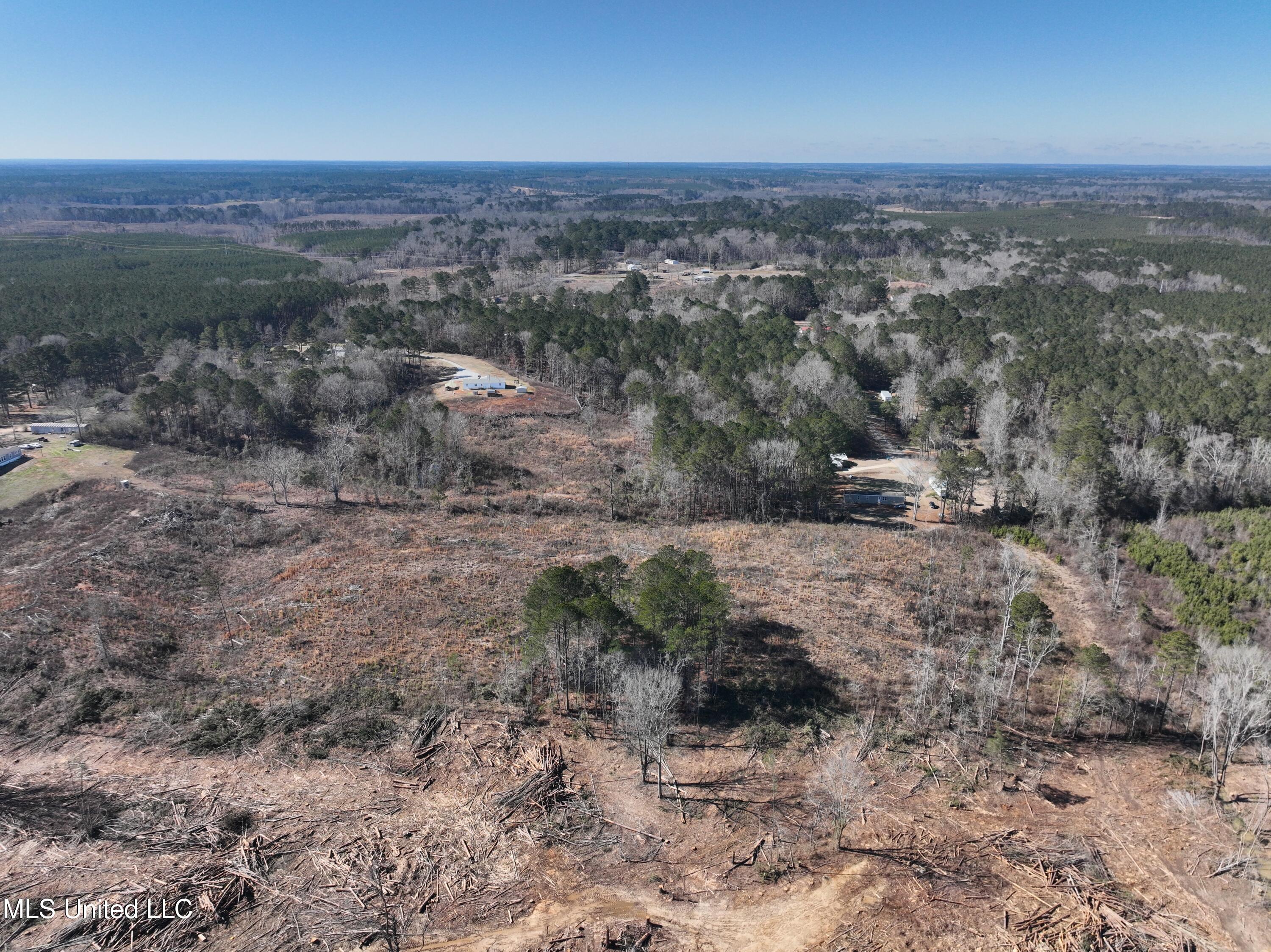 0 Red Dog Road Carthage, MS 39051 - Photo 6 of 15 DJI_20260128124217_0015_V
