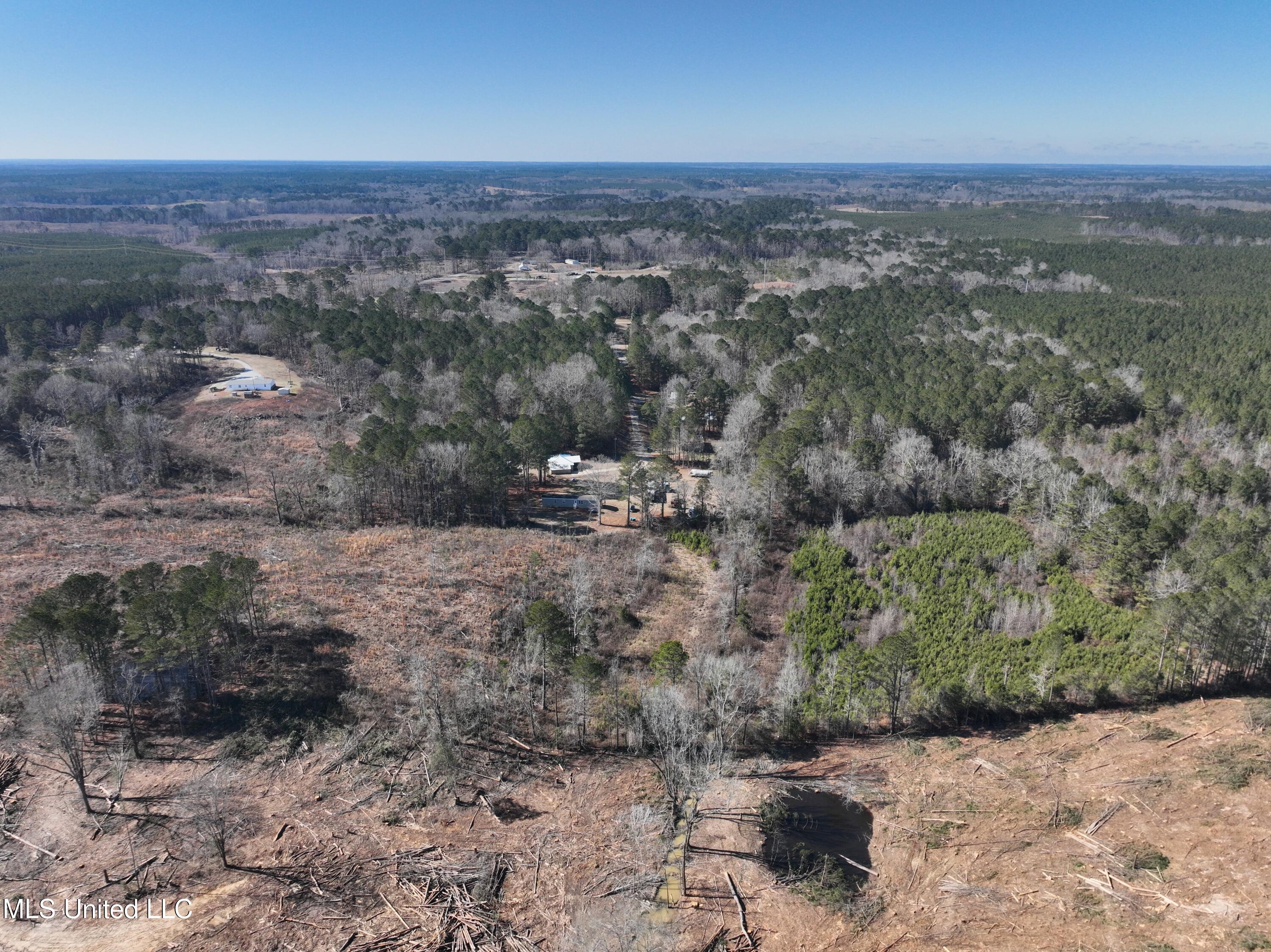 0 Red Dog Road Carthage, MS 39051 - Photo 7 of 15 DJI_20260128124225_0020_V