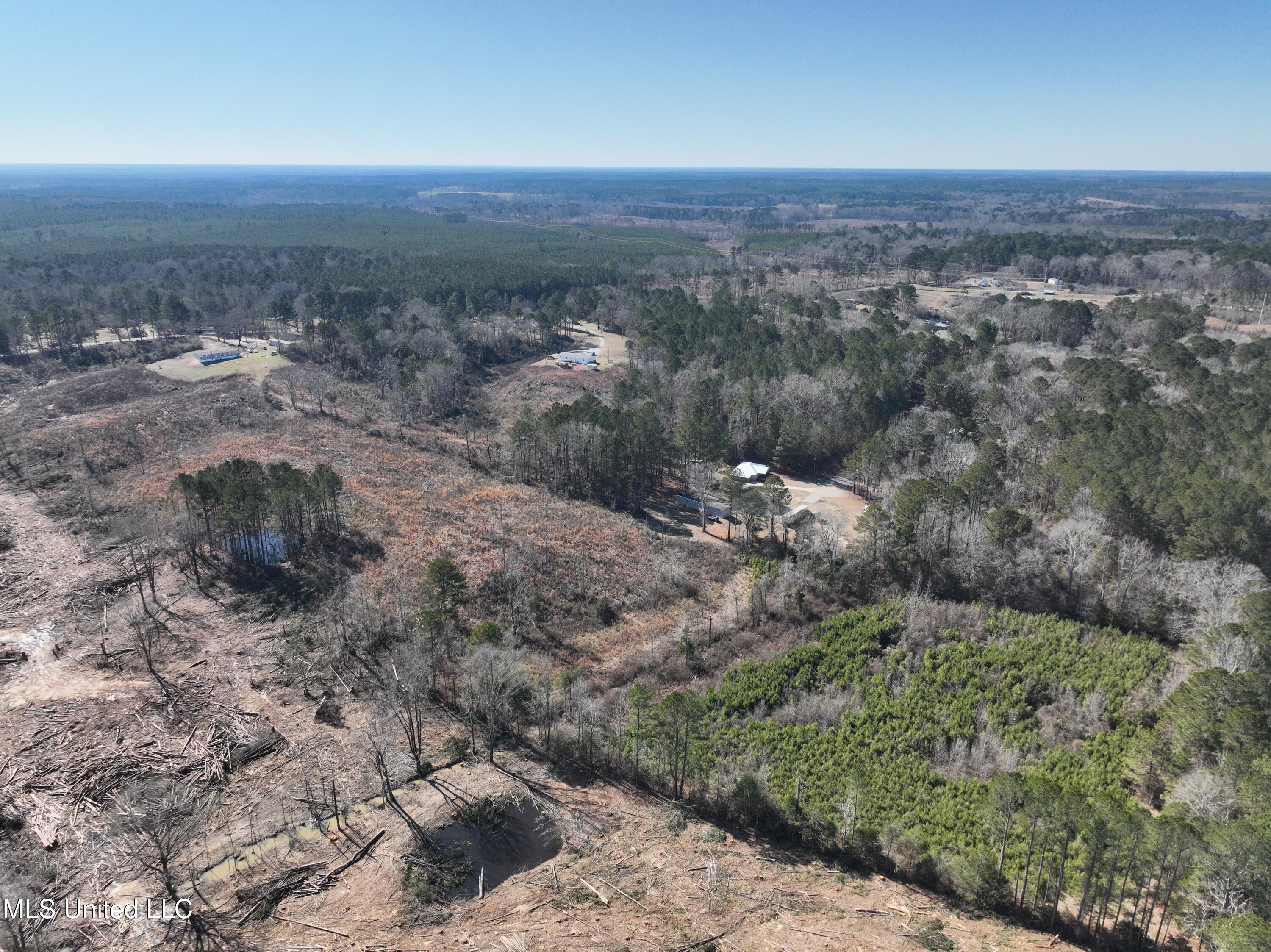 0 Red Dog Road Carthage, MS 39051 - Photo 8 of 15 DJI_20260128124236_0025_V