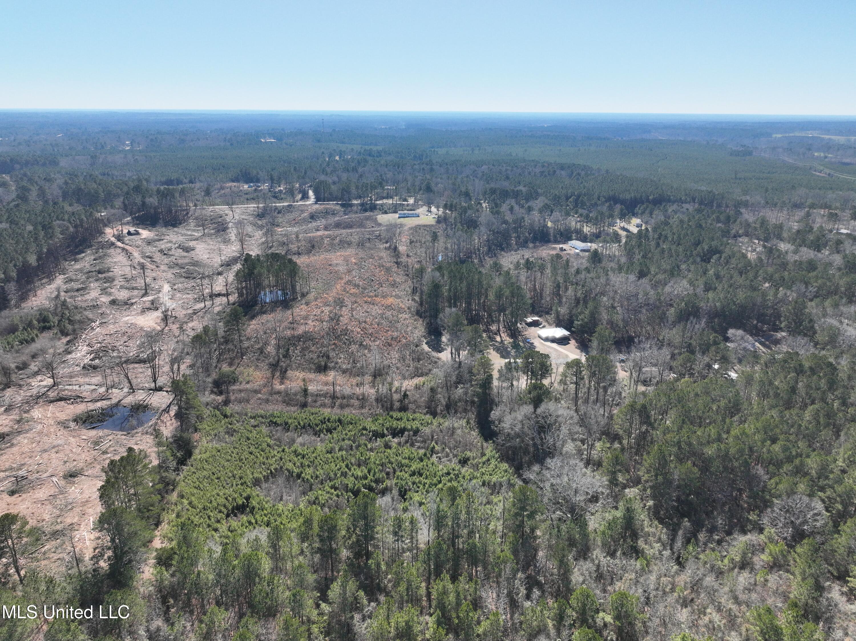 0 Red Dog Road Carthage, MS 39051 - Photo 9 of 15 DJI_20260128124255_0030_V