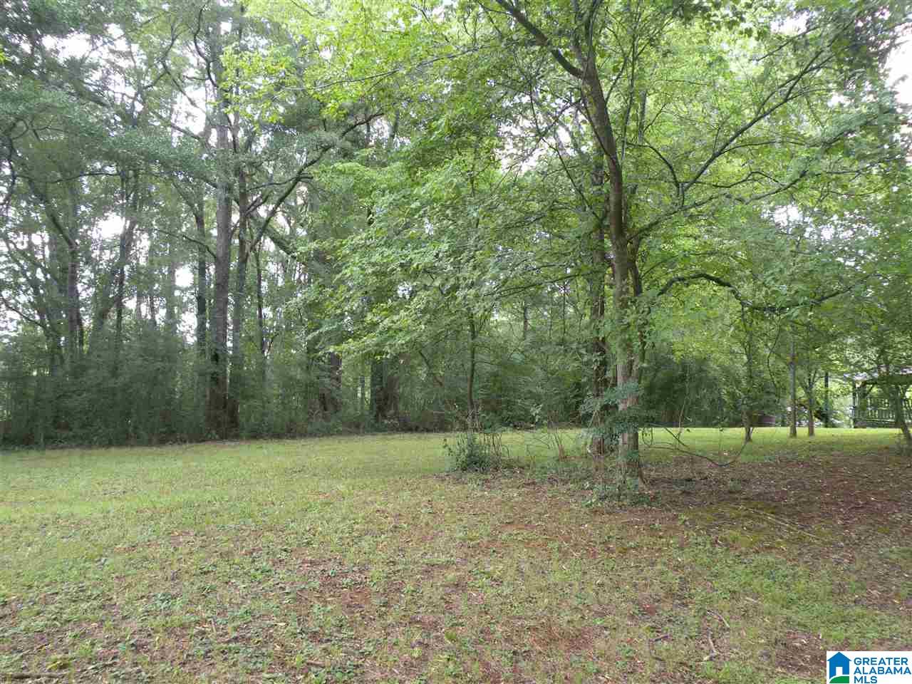 160 Strickland Lane Alpine, AL 35014 - Photo 46 of 50