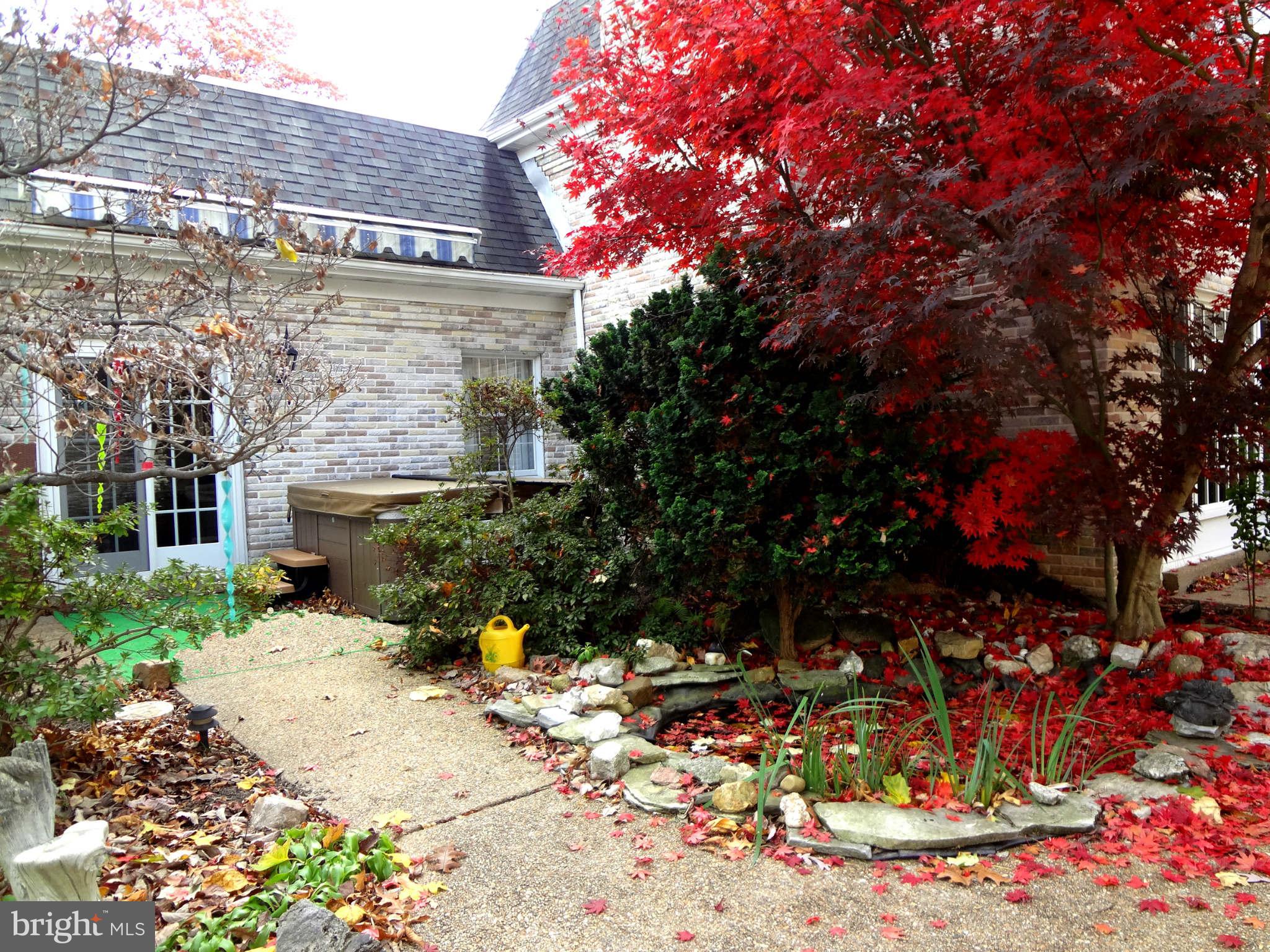 809 Villa Ridge Road Falls Church, VA 22046 - Photo 17 of 30 Hot tub and koi pond