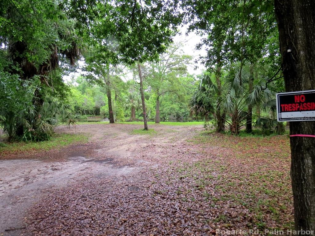 Roberts Road Palm Harbor, FL 34683 - Photo 12 of 20