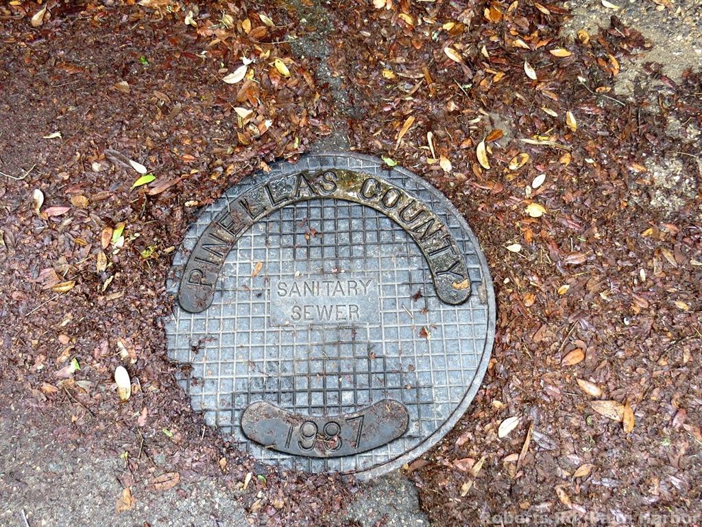 Roberts Road Palm Harbor, FL 34683 - Photo 17 of 20