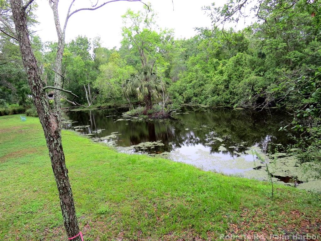 Roberts Road Palm Harbor, FL 34683 - Photo 19 of 20