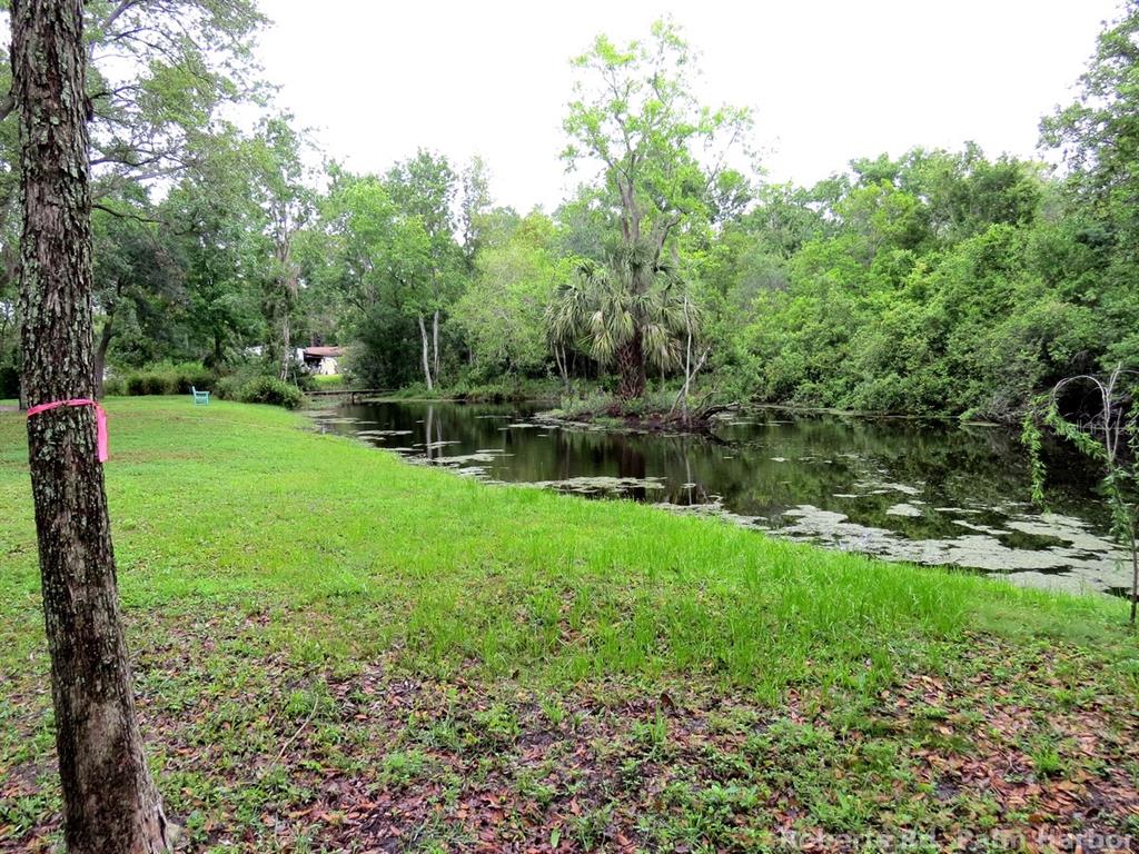 Roberts Road Palm Harbor, FL 34683 - Photo 20 of 20