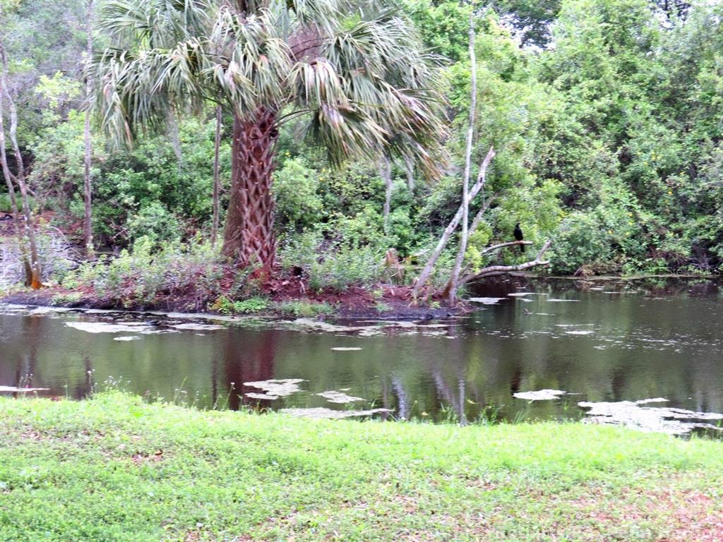 Roberts Road Palm Harbor, FL 34683 - Photo 10 of 20