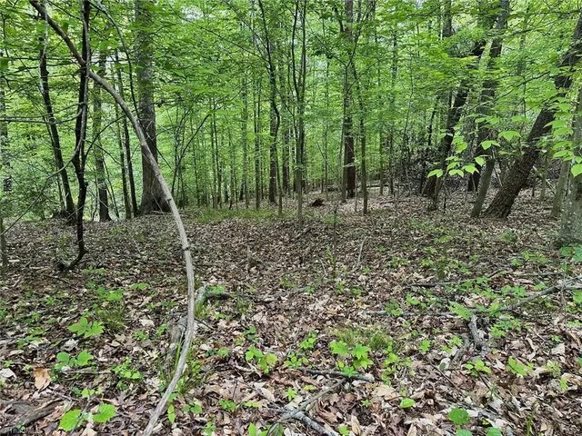 $185,000 | 0 Windchester Lane, Blanch, NC 27212