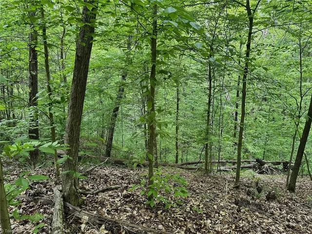 $185,000 | 0 Windchester Lane, Blanch, NC 27212