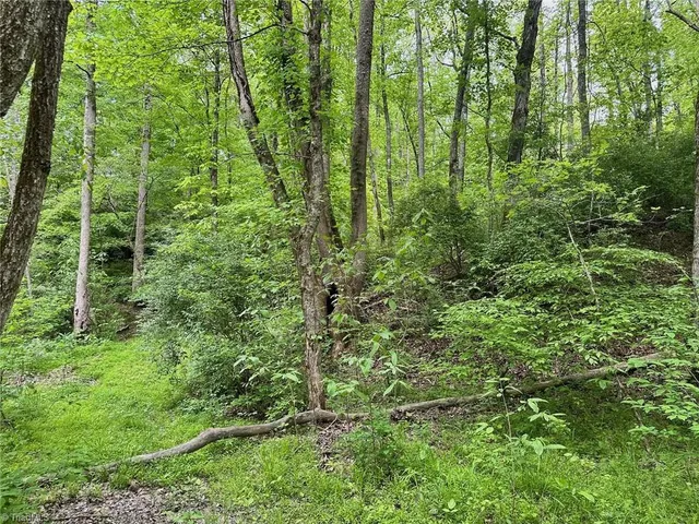 $185,000 | 0 Windchester Lane, Blanch, NC 27212