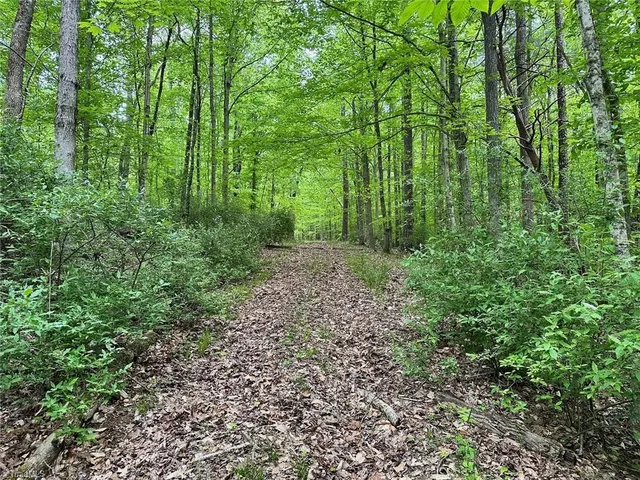 $185,000 | 0 Windchester Lane, Blanch, NC 27212