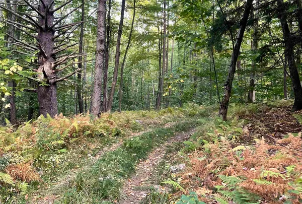 $749,000 | 3277 Creek Road, Clarendon, VT 05759