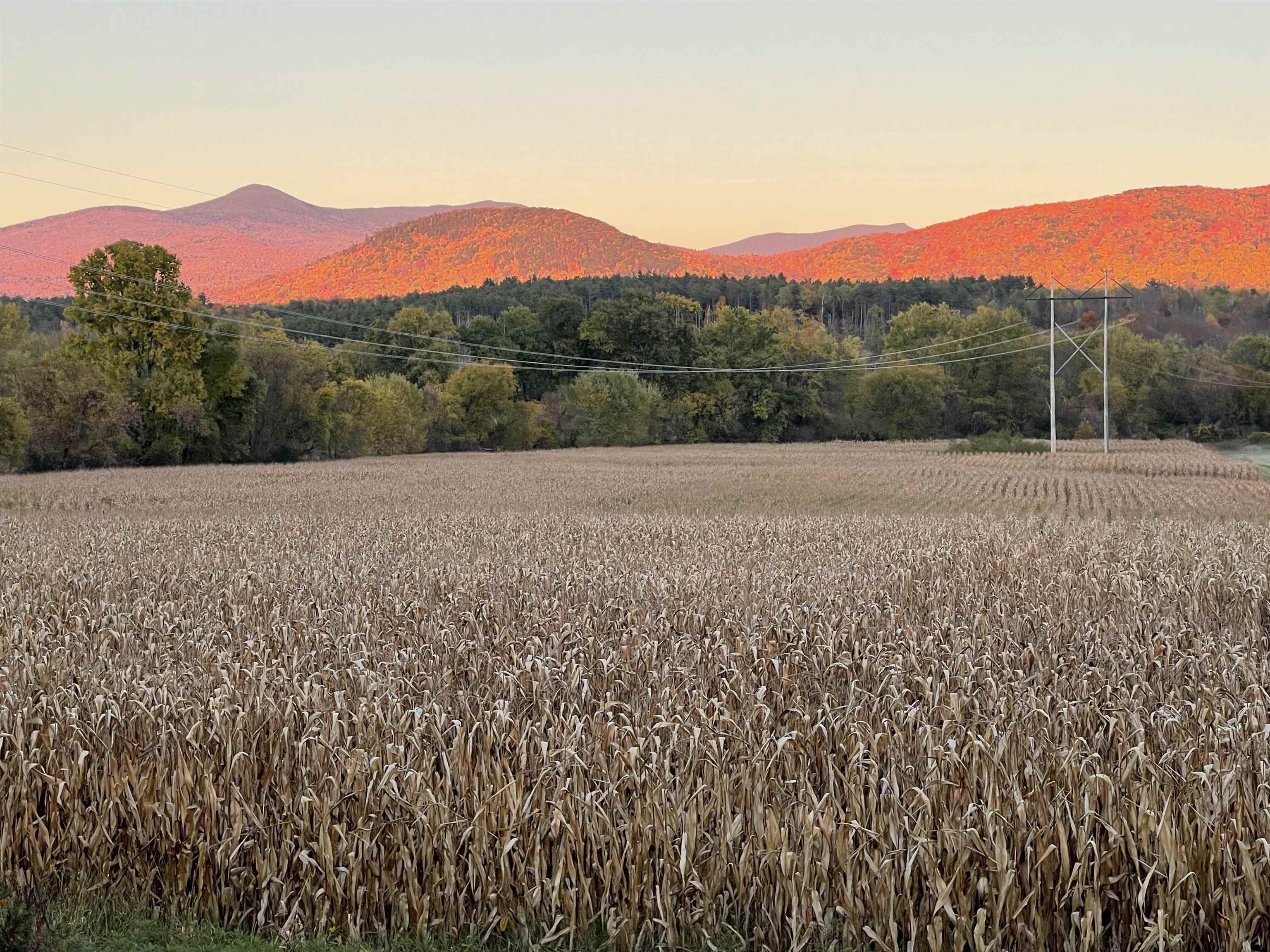 3277 Creek Road Clarendon, VT 05759 - Photo 55 of 59