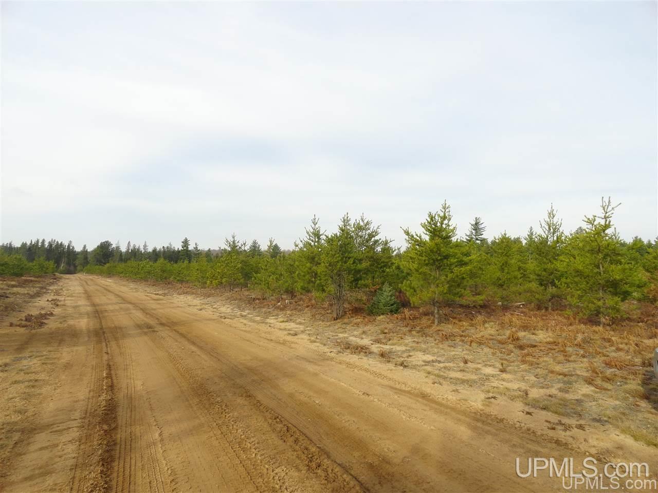80-acres 80-acres Co Road Negaunee, MI 49866 - Photo 29 of 45