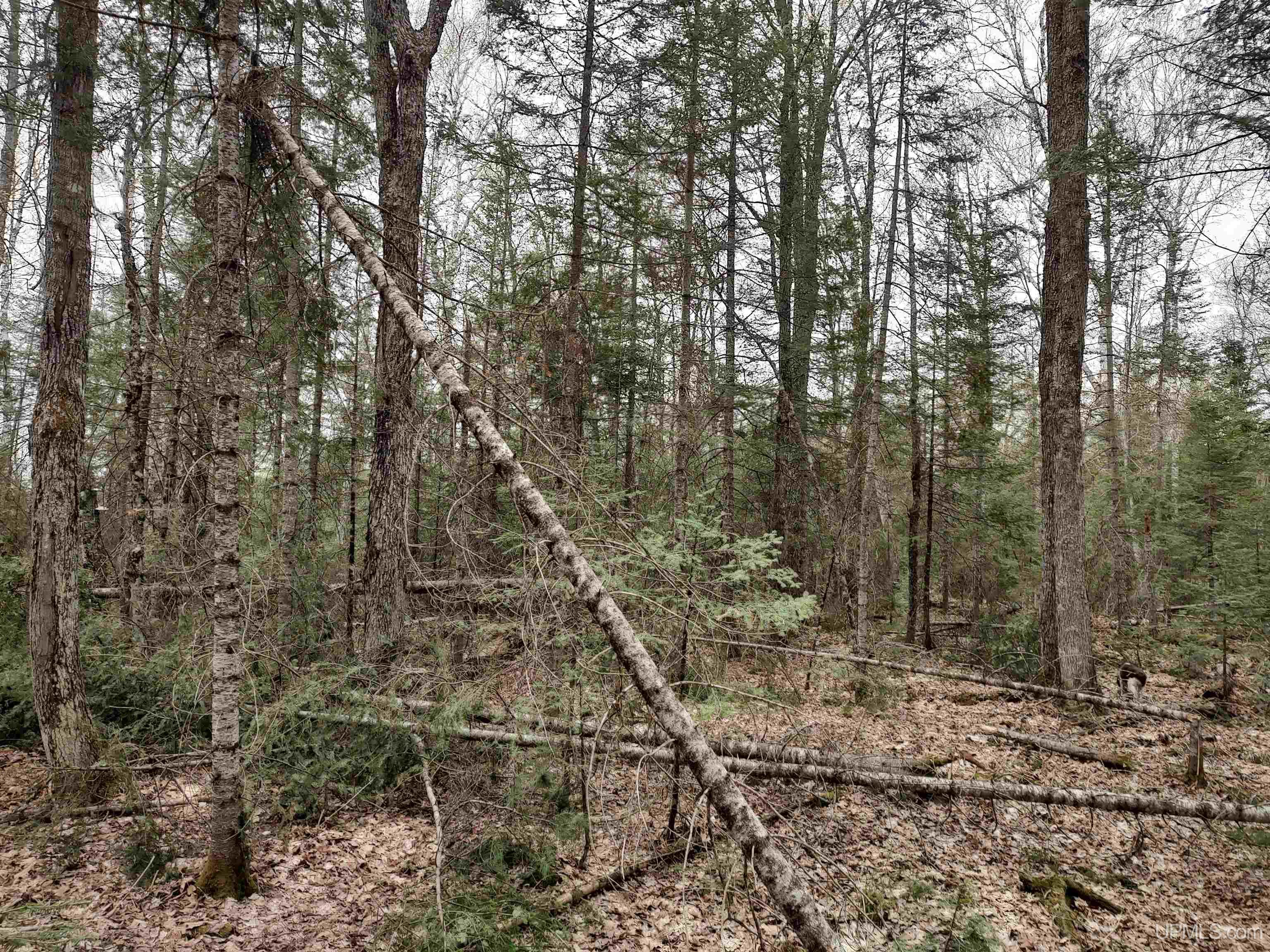 10 Fence Lake Road Michigamme, MI 49861 - Photo 22 of 42