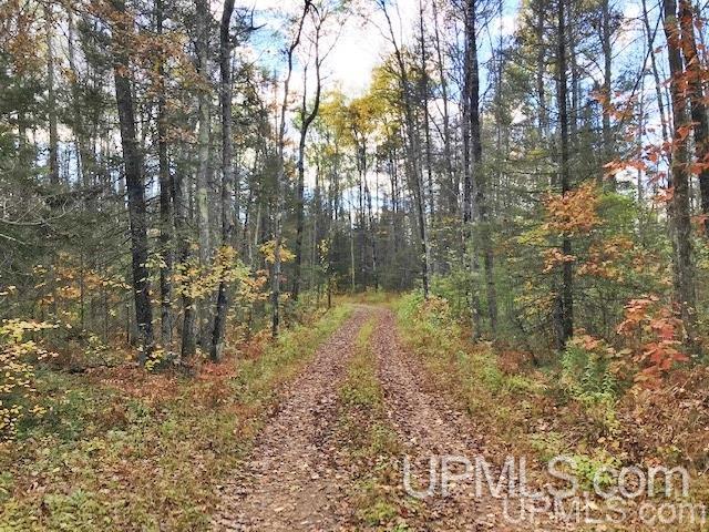 T-wi Weckerle Road Pembine, WI 54156 - Photo 27 of 36