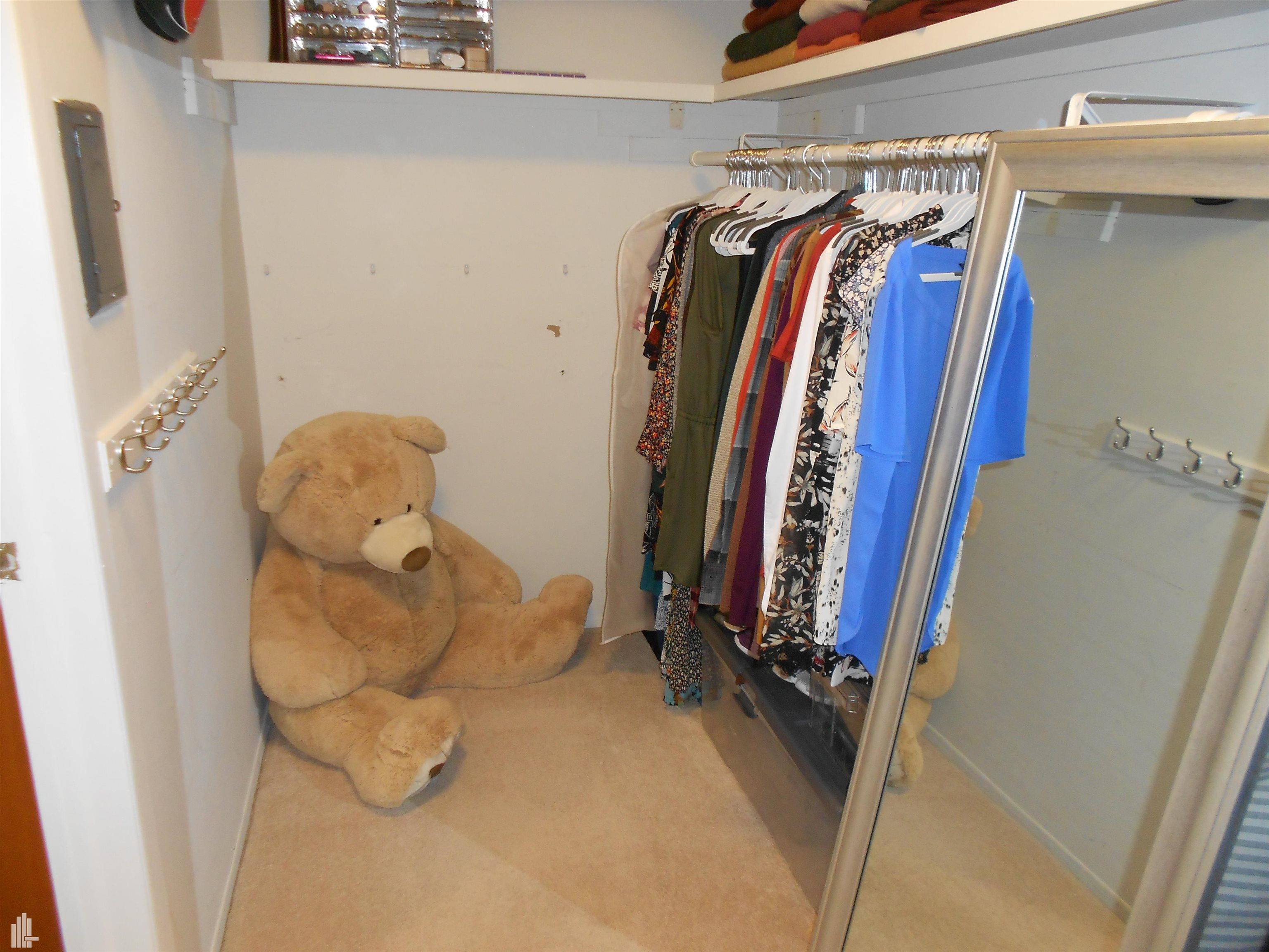 490 Baldwin Avenue Rochester, MI 48307 - Photo 14 of 27 Master closet