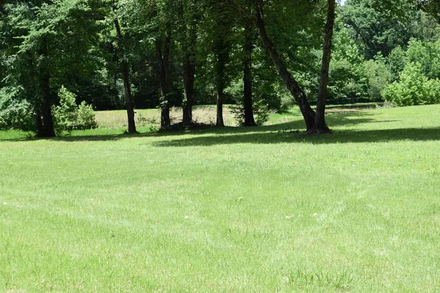 a view of green field with trees