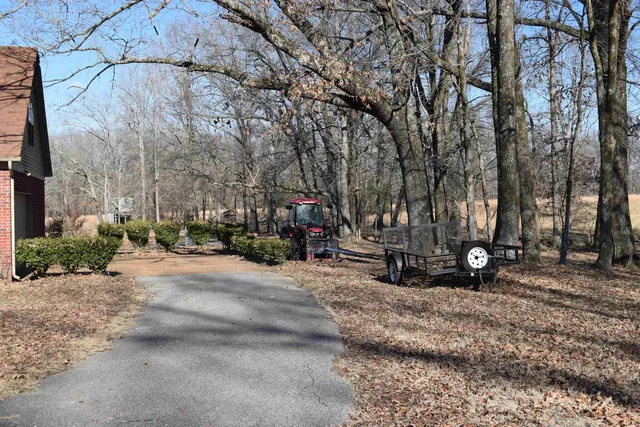 a view of a park with large trees